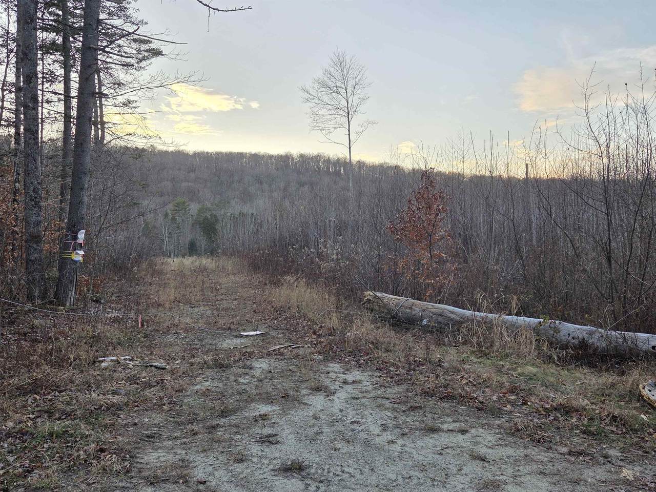 672-3 Bog Road - Photo 1