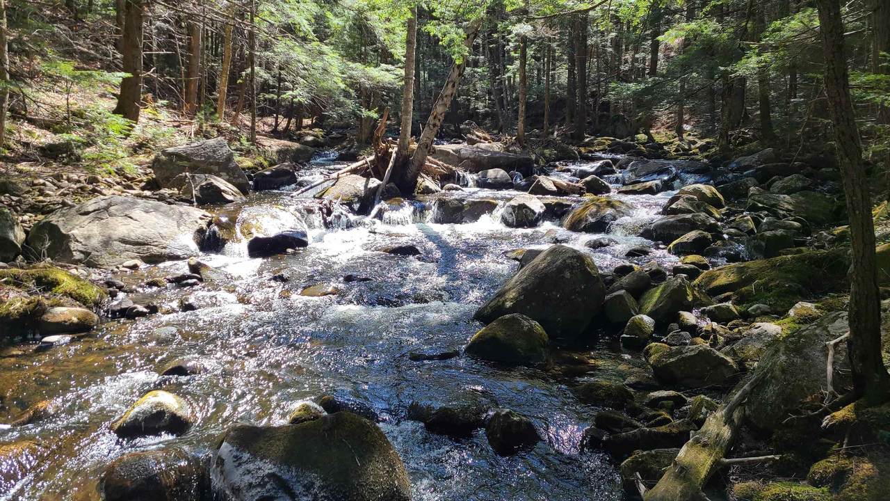 11 Clay Brook Drive - Photo 1