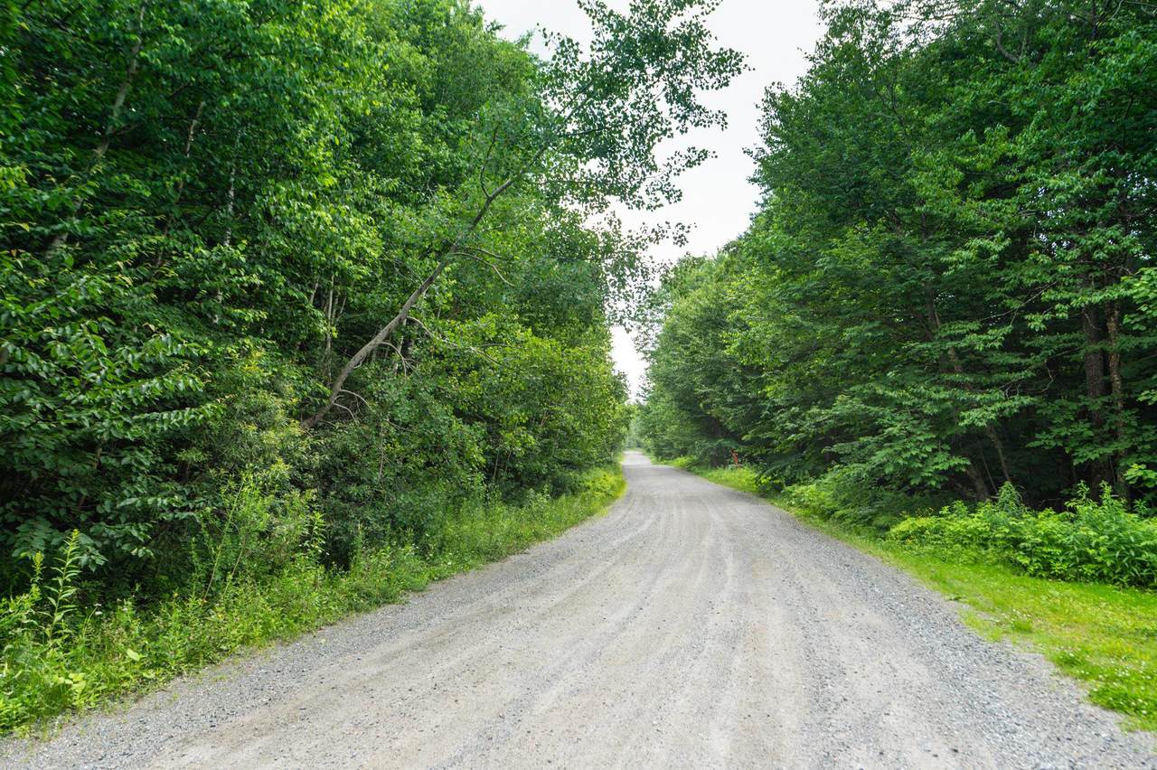 31 Woodsman Road - Photo 1