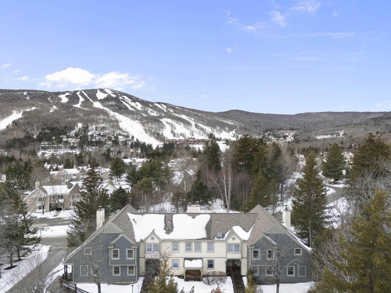 1D Dover Springs Lane - Photo 1