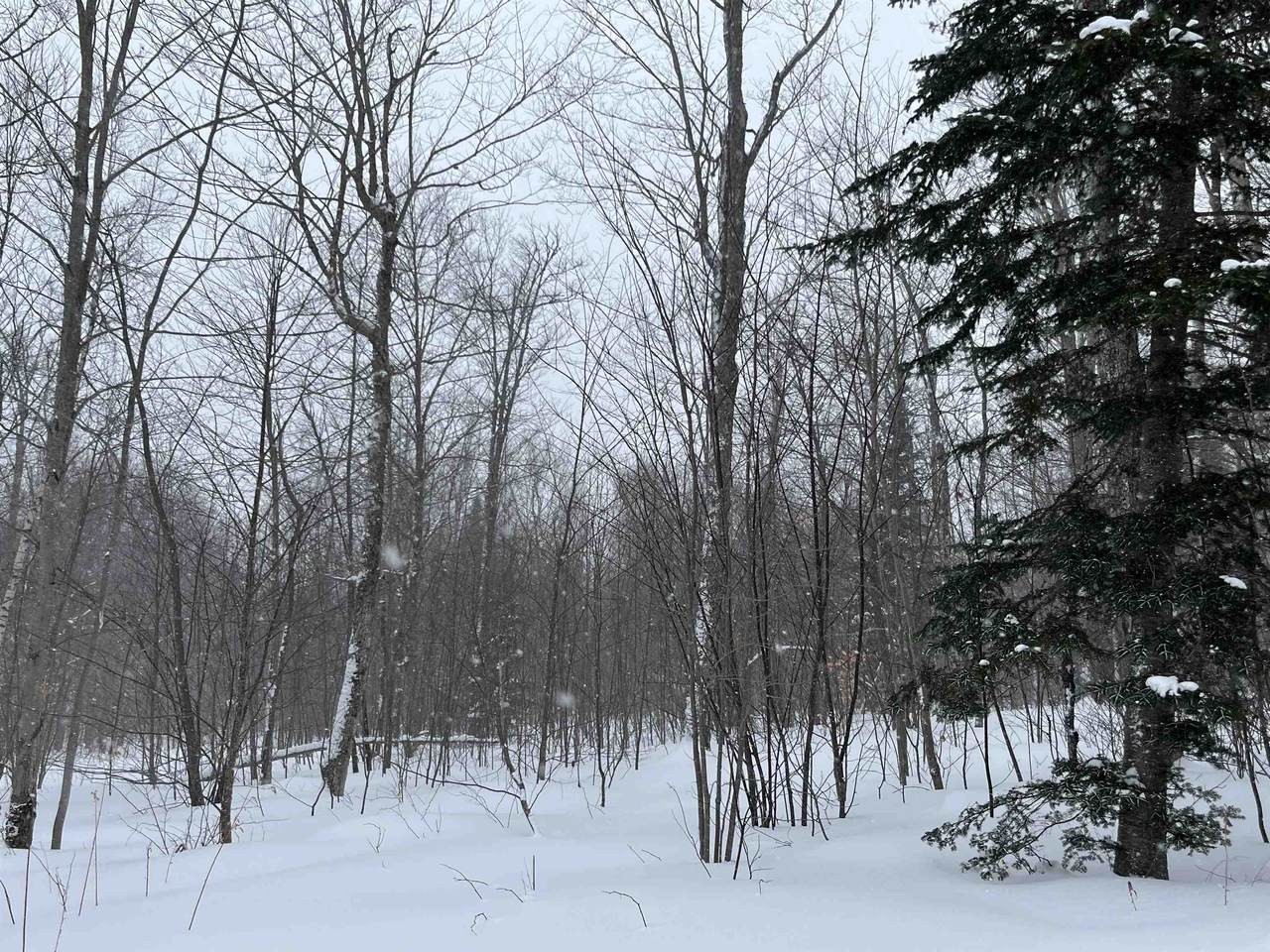 2924 New Duck Pond Road - Photo 1