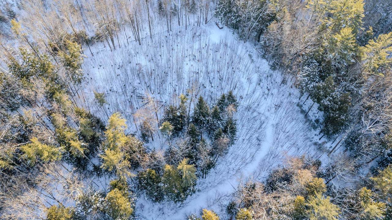 00 Route 123 - Photo 1
