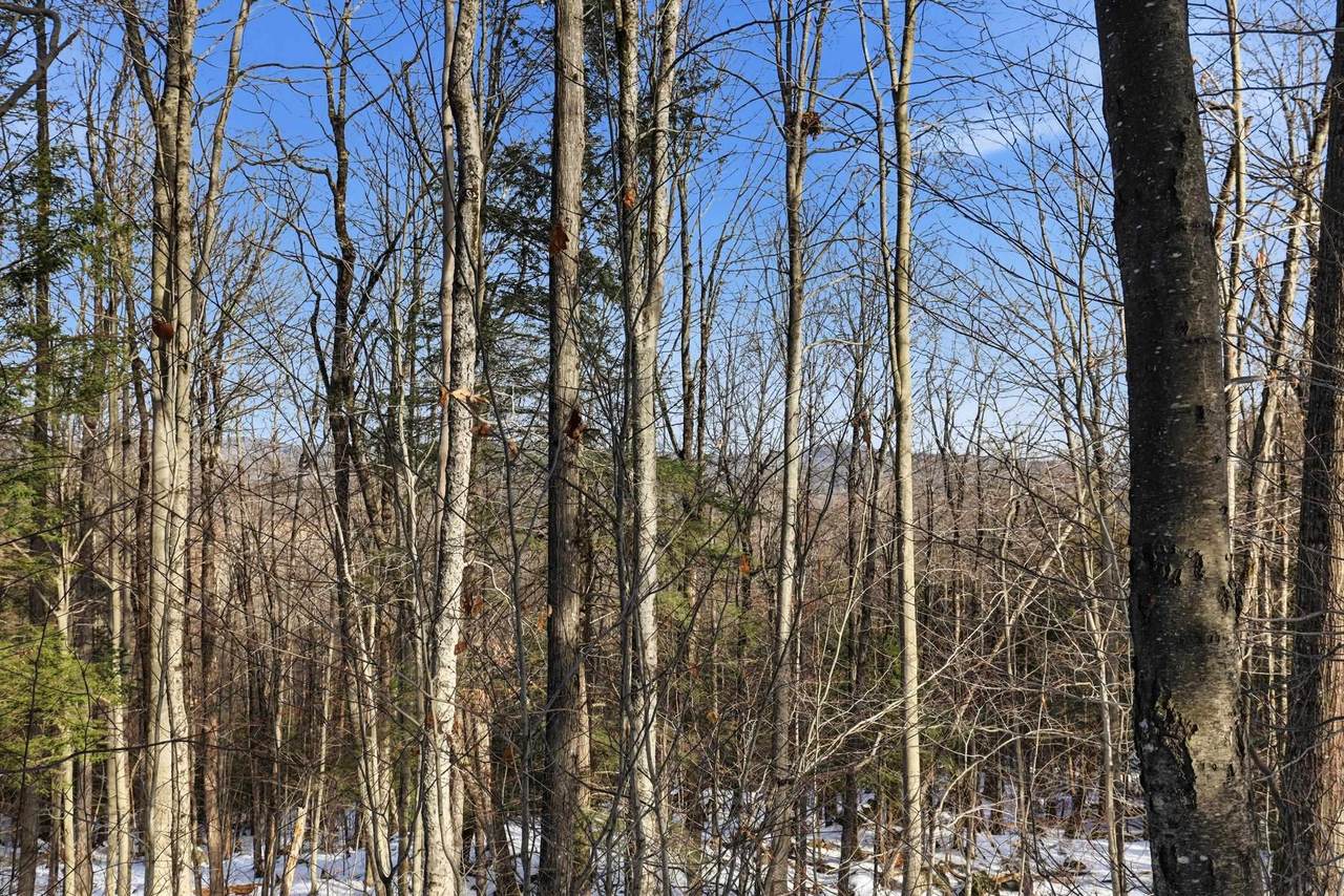 Tax Map5B Lot97 Nh Route 114 - Photo 1