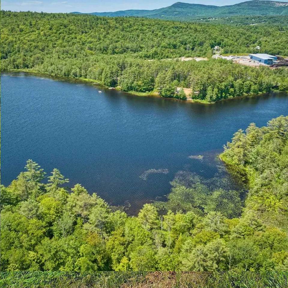 TBD Stocker Pond Road - Photo 1