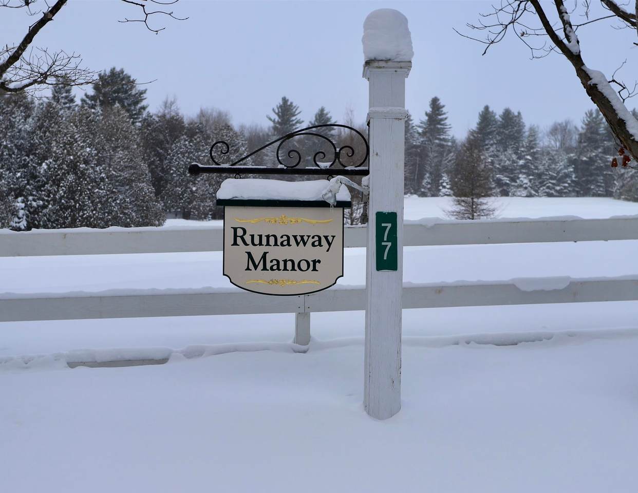 77 Maple Lane - Photo 1