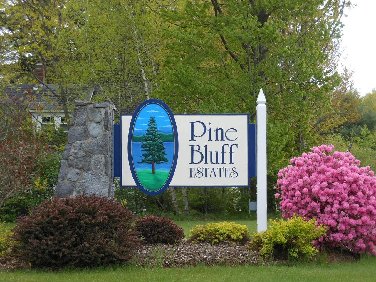 00 Pine Street - Photo 1