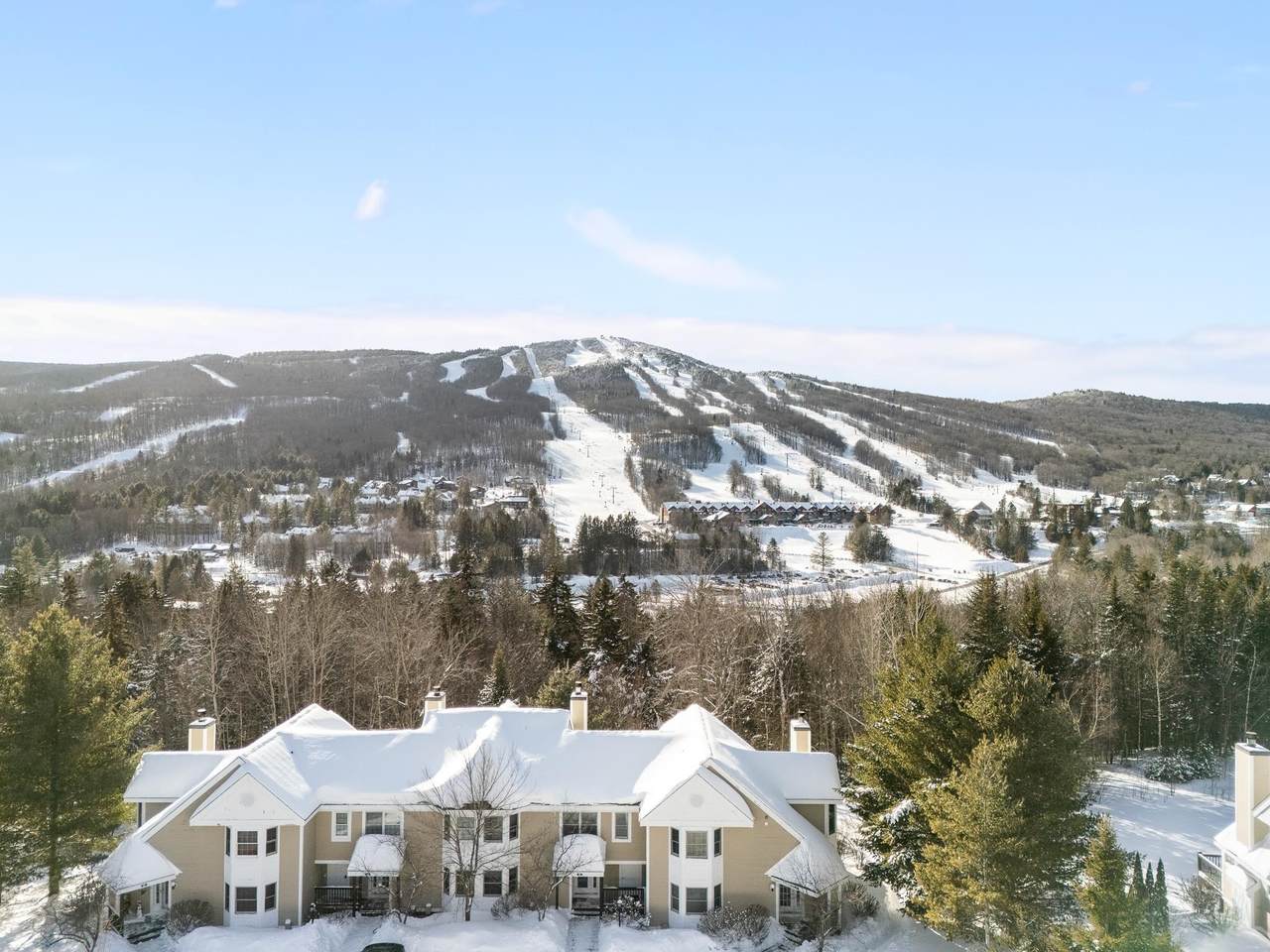 39D Dover Springs Lane - Photo 1