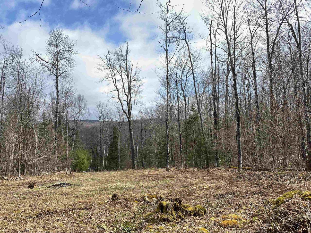 00 Miller Pond Road - Photo 1