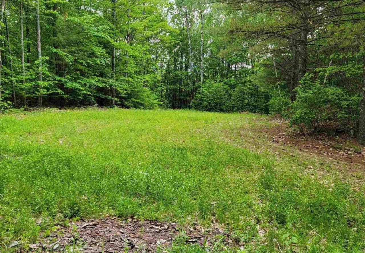 1195 Bennington Road - Photo 1