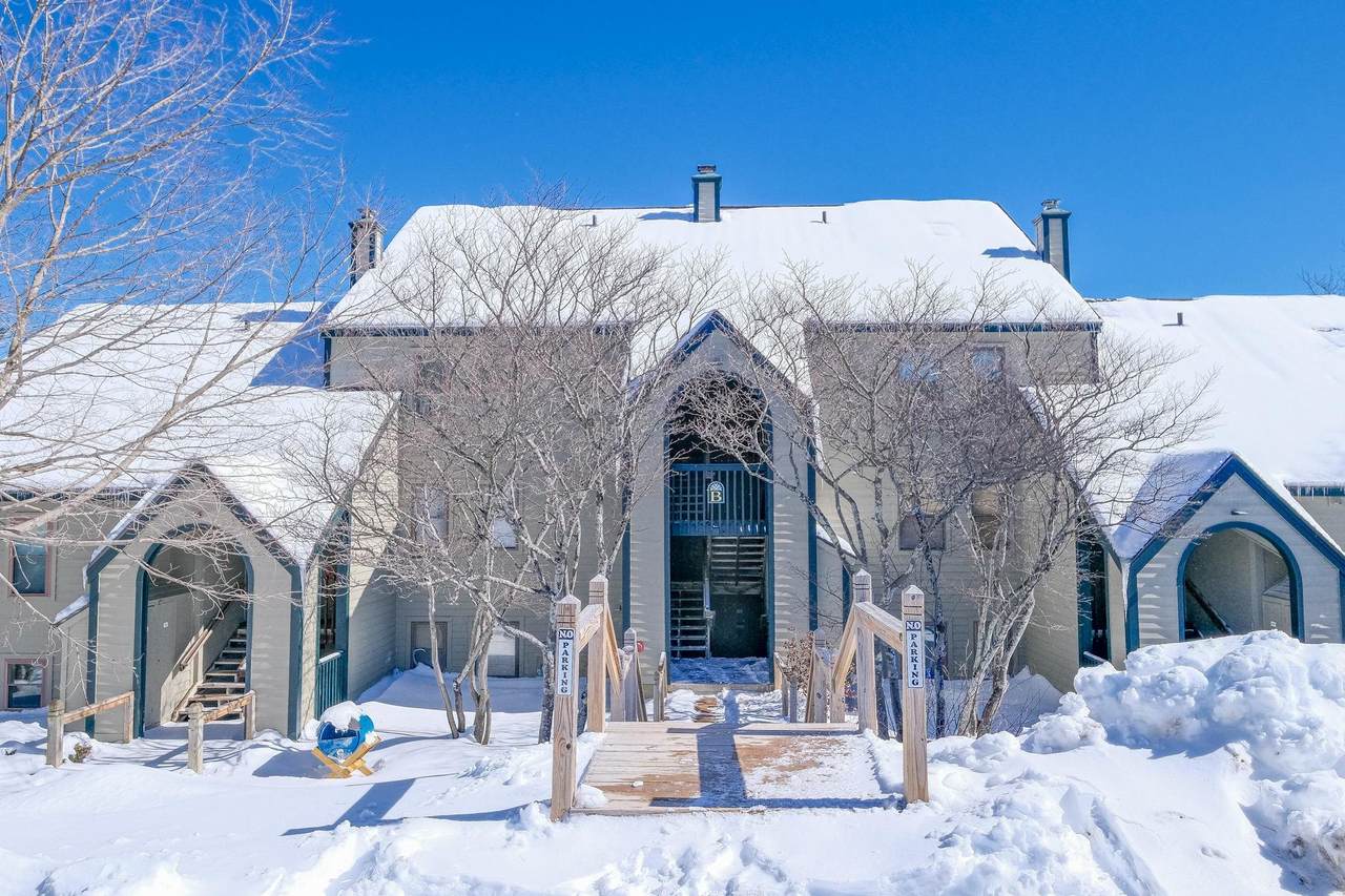 35 White Loop - Photo 1