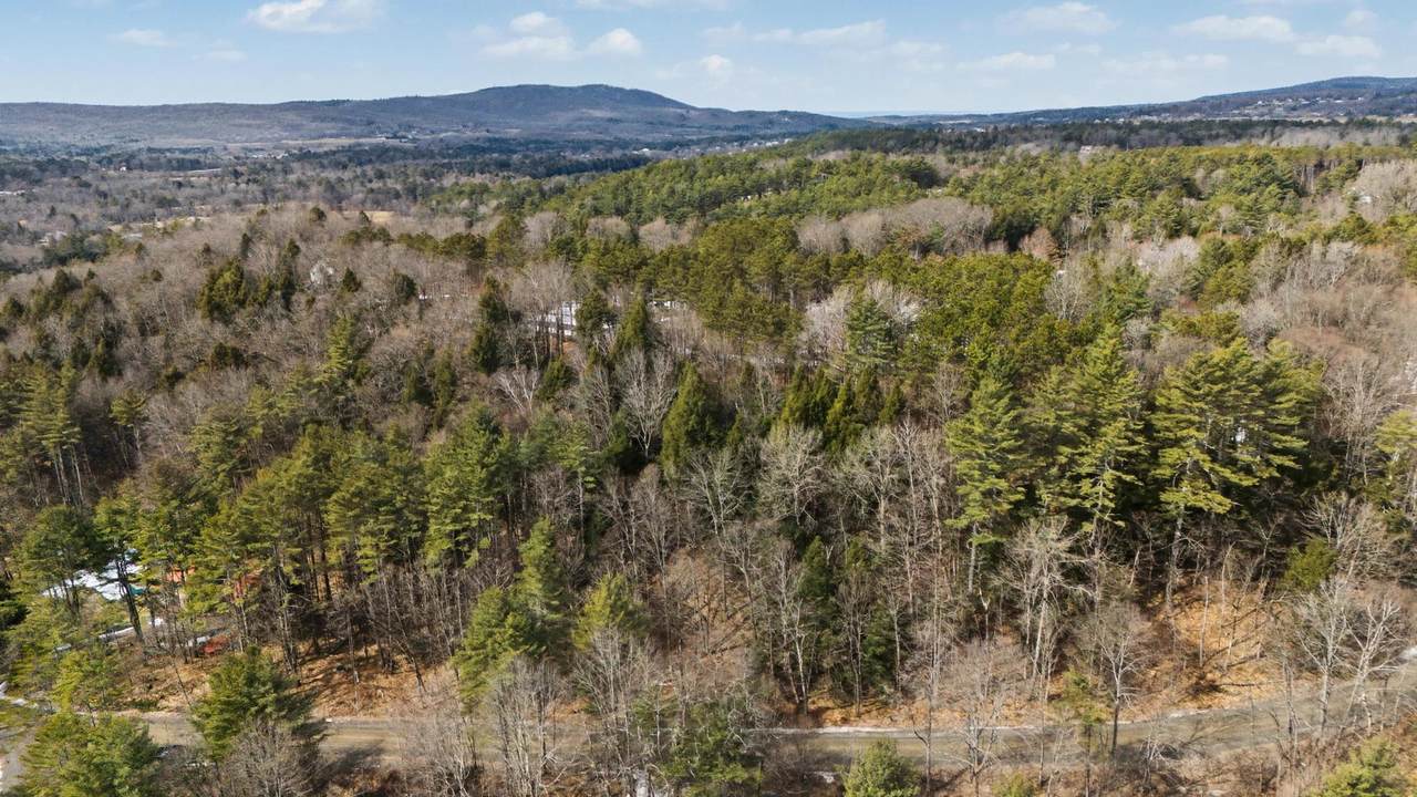 138 Shepardson Hollow Road - Photo 1
