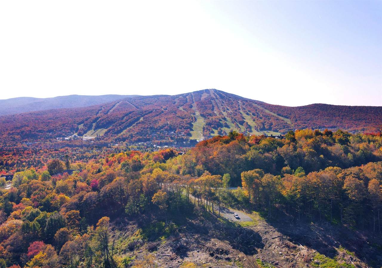 16 Overlook Drive - Photo 1
