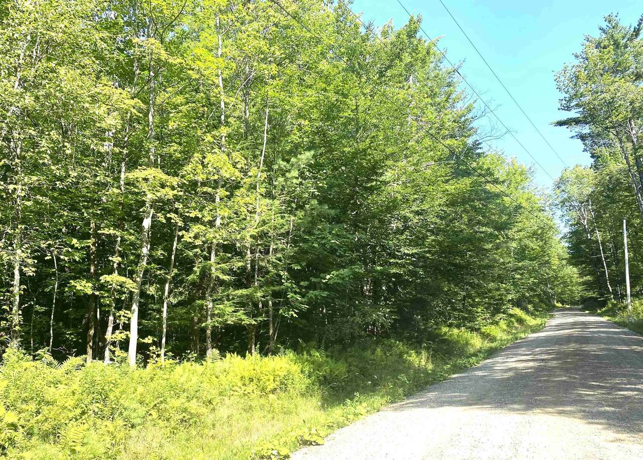 00 North Branch Road - Photo 1