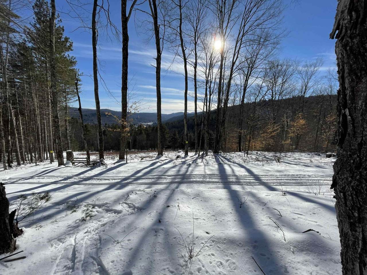  Masterson Road - Photo 1