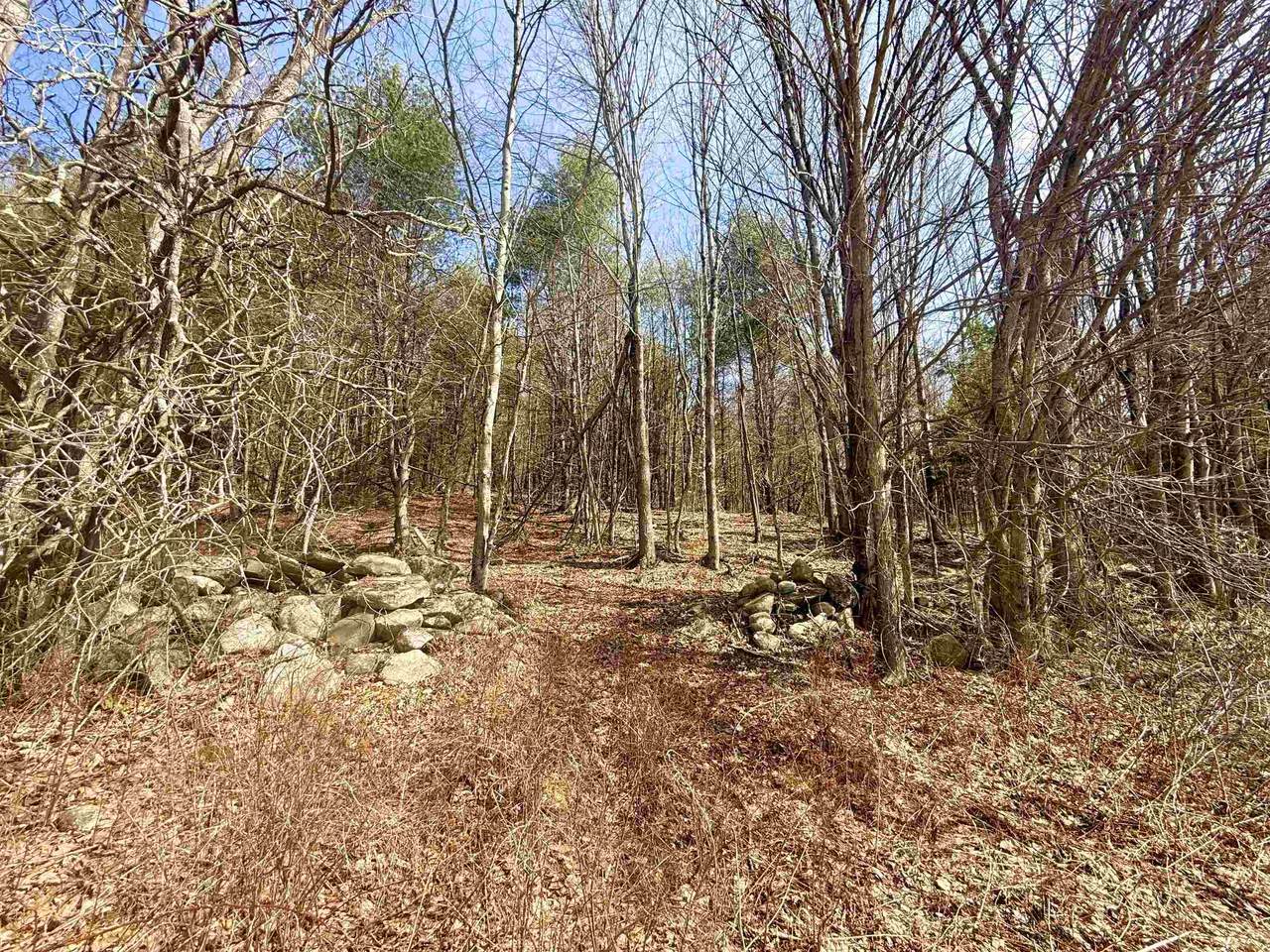 0 Green Mountain Turnpike - Photo 1