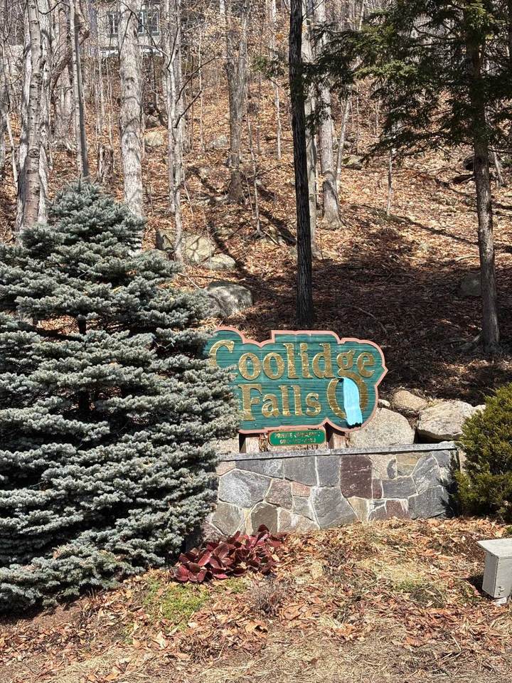 3 Blueberry Road - Photo 1