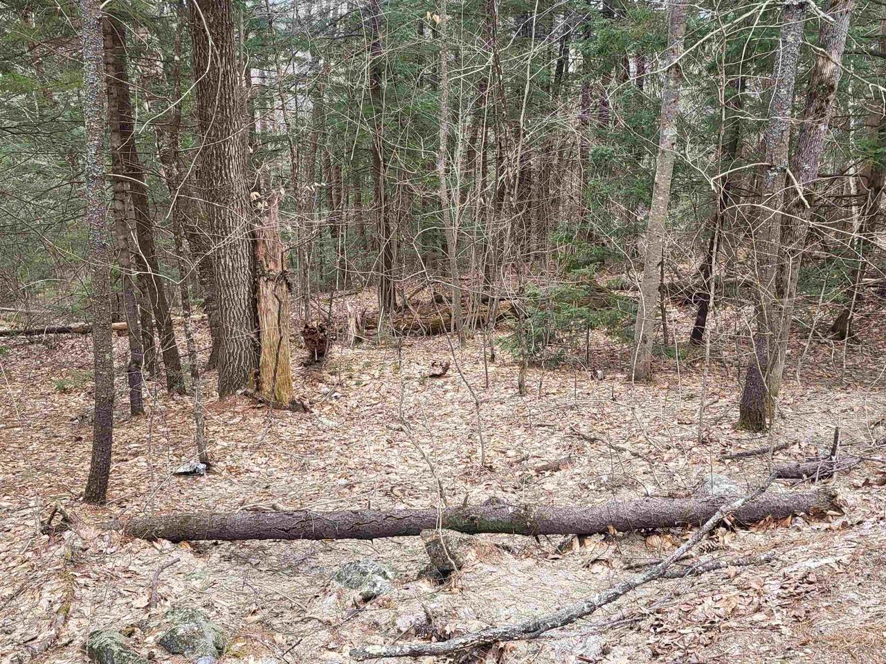 410-089-001 Eastern District Road - Photo 1