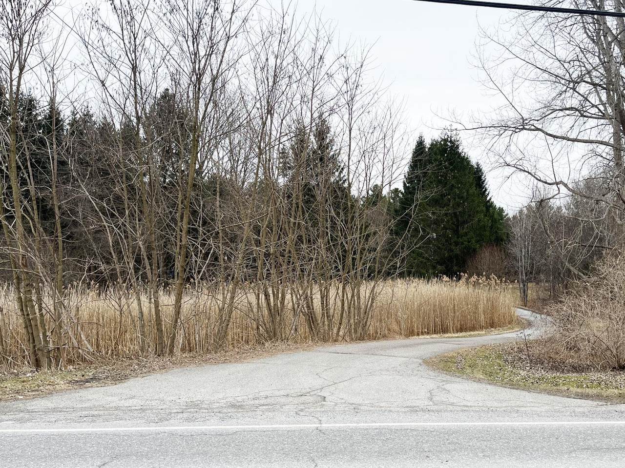 376 Mountain View Road - Photo 1