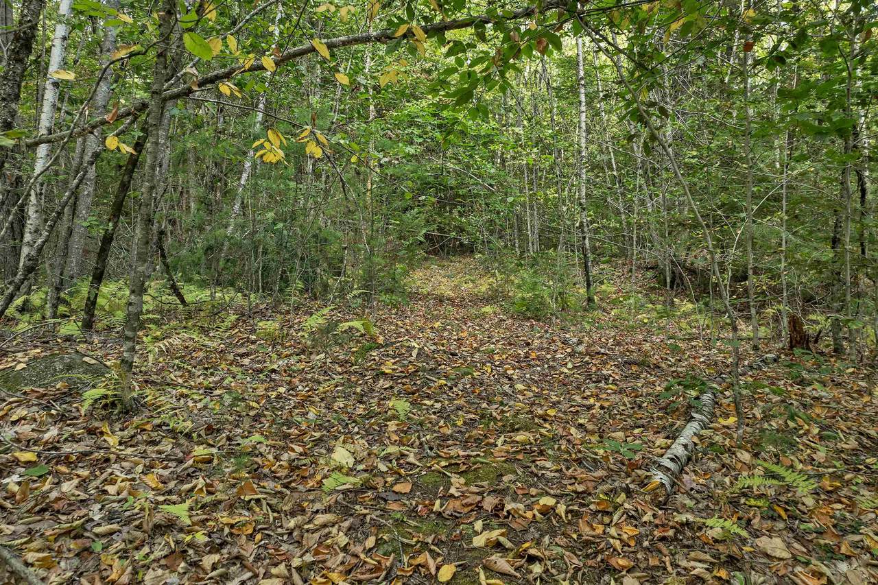 https://bt-photos.global.ssl.fastly.net/nneren/1280_boomver_1_5083310-2.jpg