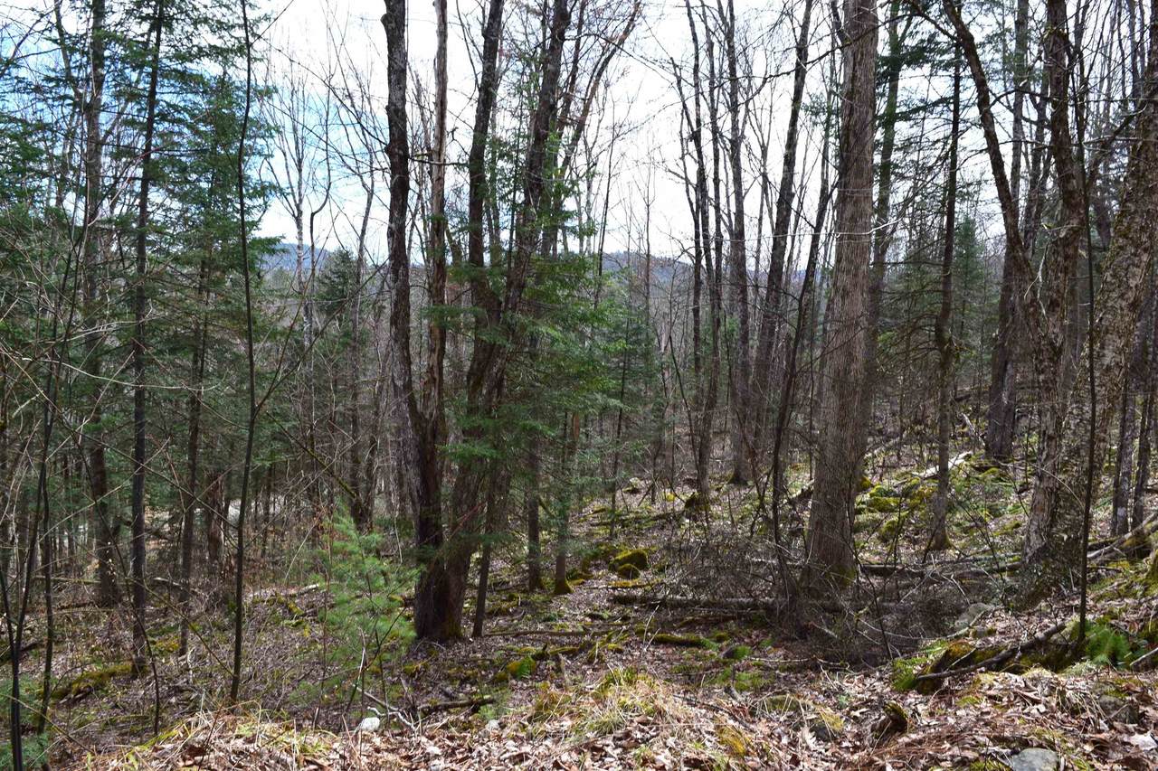 Lot 177 Belknap Drive - Photo 1