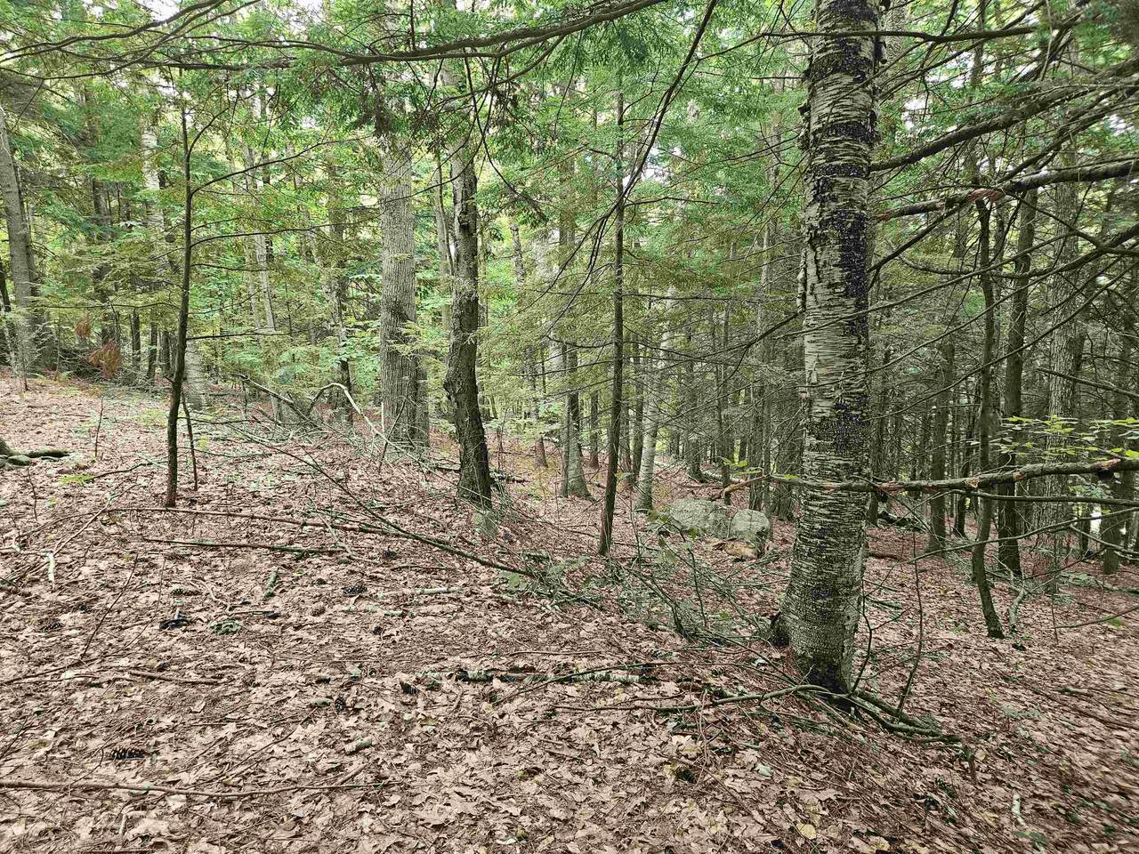 https://bt-photos.global.ssl.fastly.net/nneren/1280_boomver_1_5084065-2.jpg