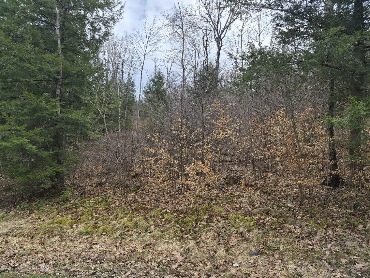  Pond Road - Photo 1