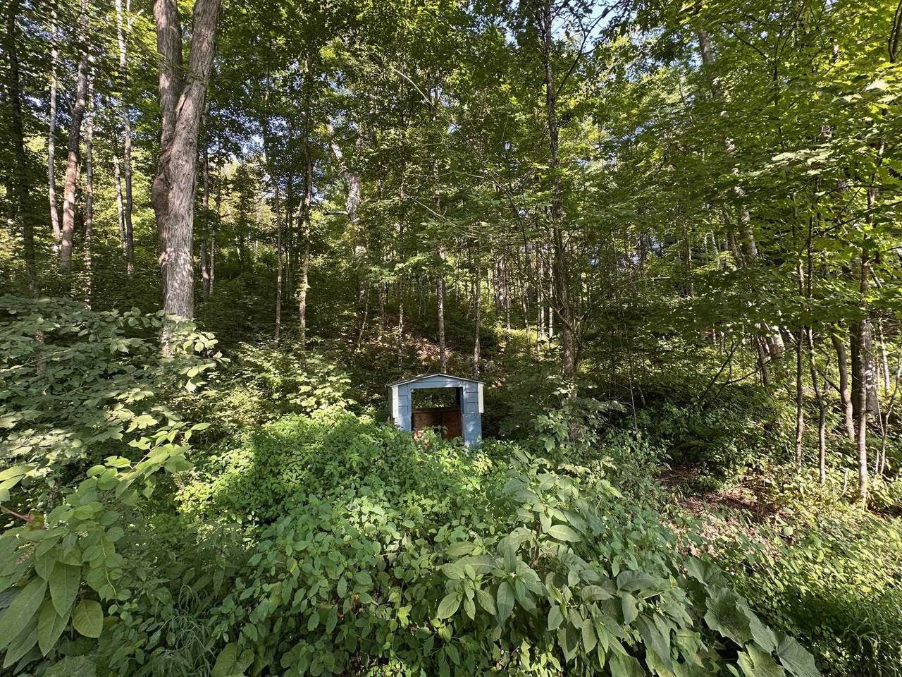 90 Old Swanzey Road - Photo 1