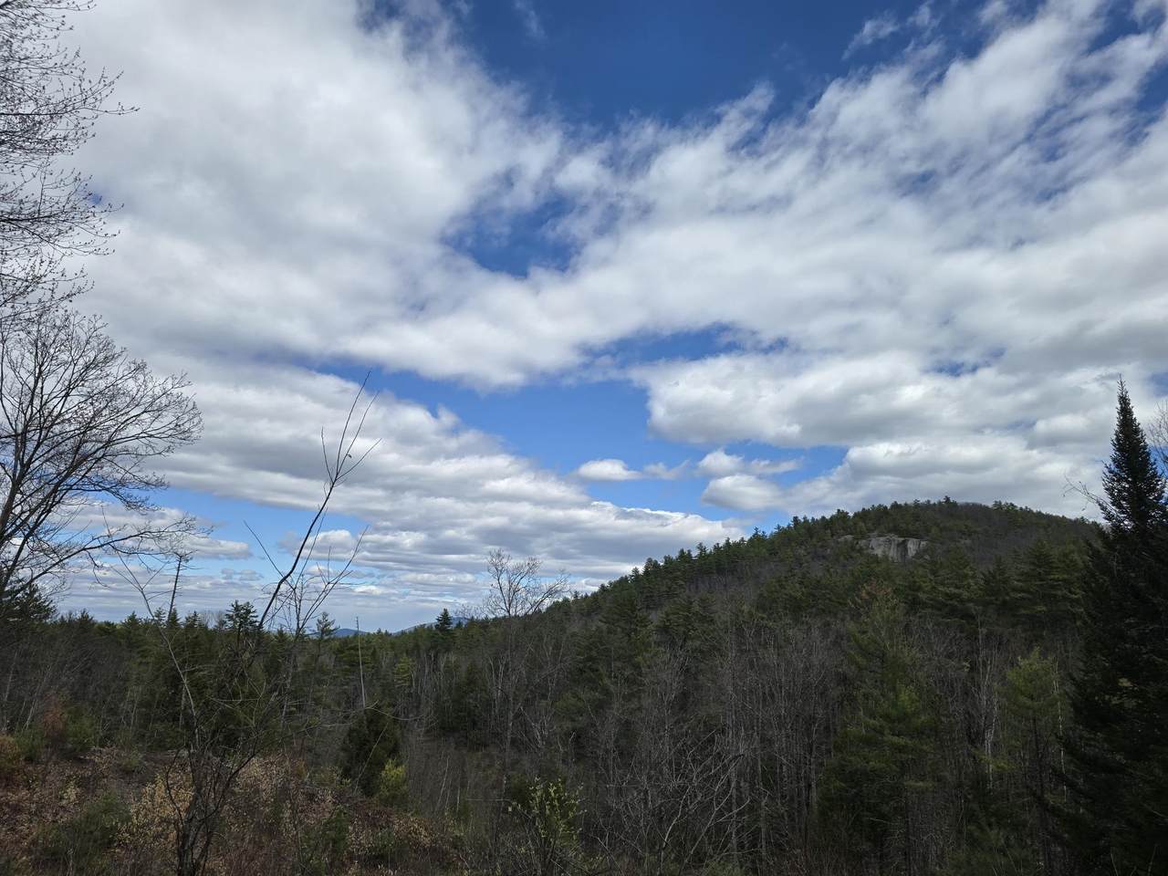 00 Haley Town Road - Photo 1