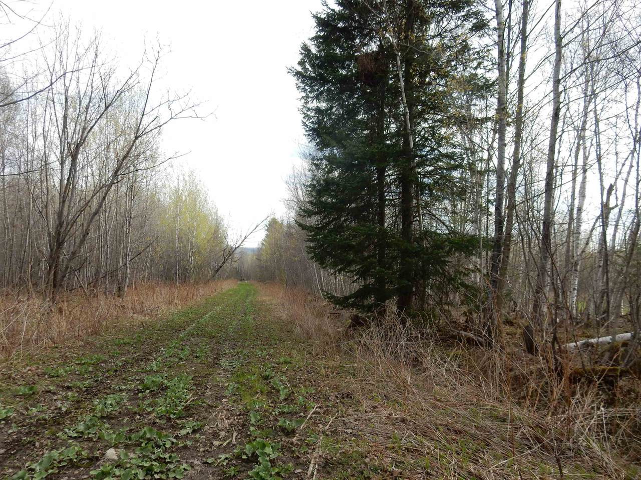 00 Burton Hill Road - Photo 1