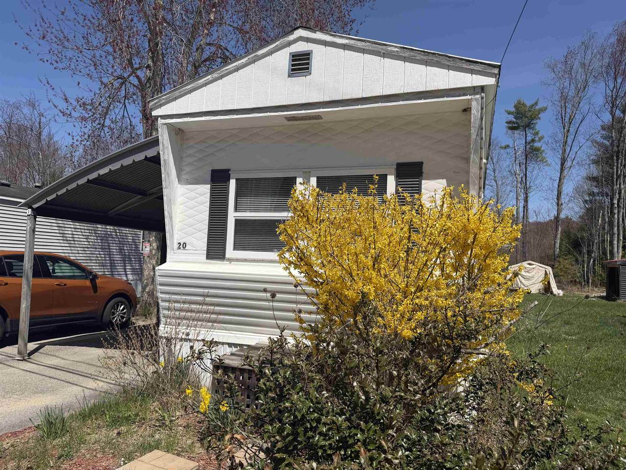20 Moose Lane - Photo 1
