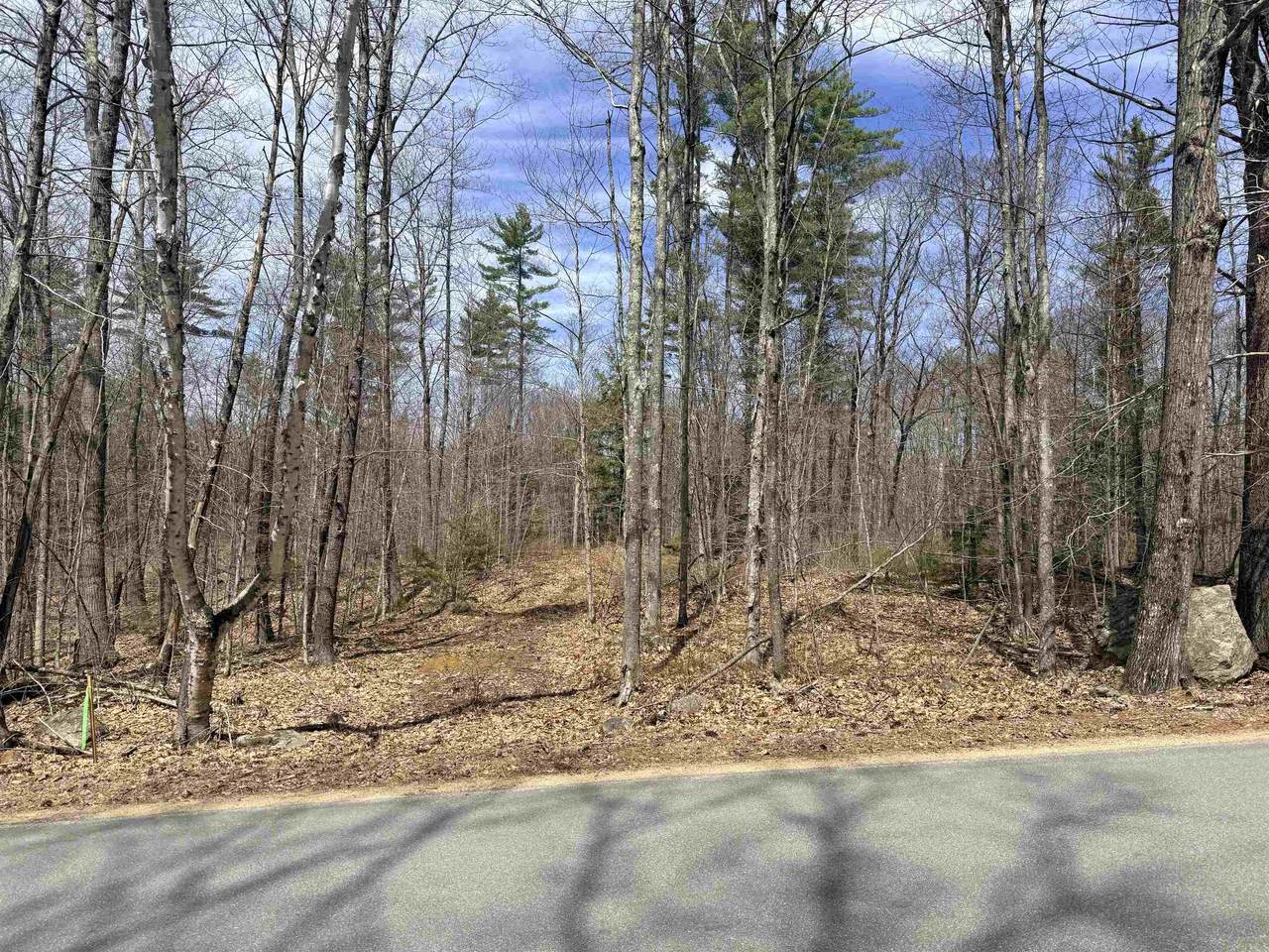 Map 208 Lot 8-1 Baptist Hill Road - Photo 1