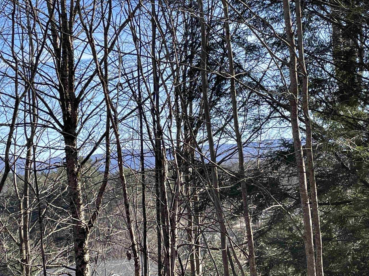 Lot 5 Haley Drive - Photo 1