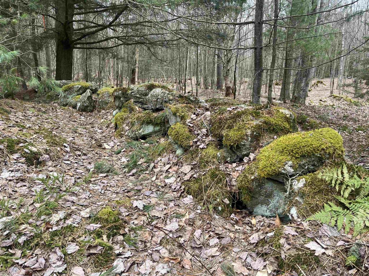 https://bt-photos.global.ssl.fastly.net/nneren/1280_boomver_1_5086302-2.jpg