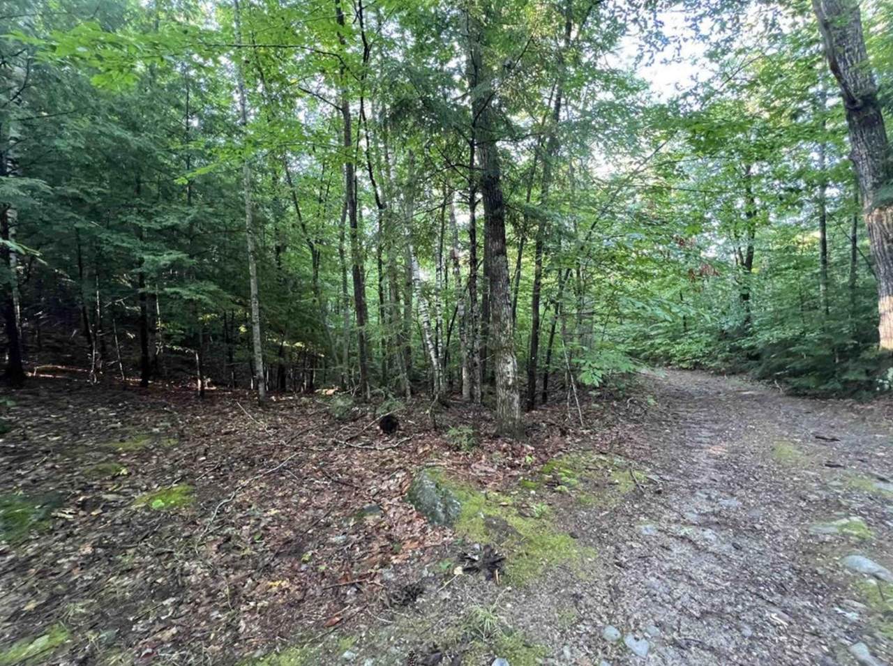 Map 6, Lot 38 Chadwick Hill Road - Photo 1