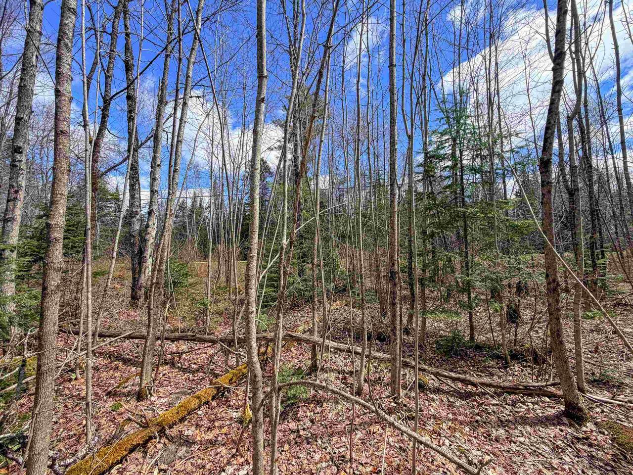 Lot 4 Oregon Road - Photo 1