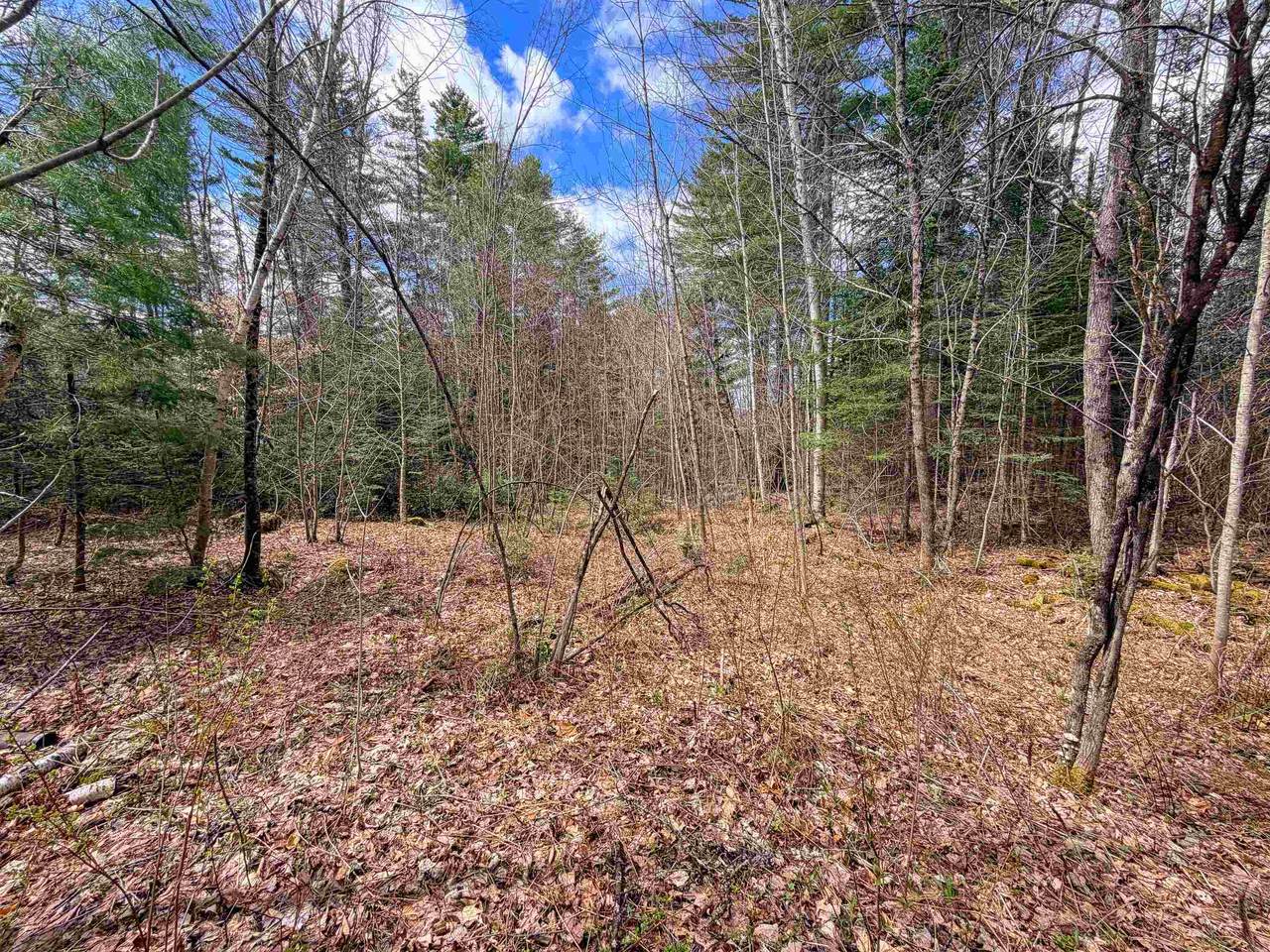 538 Oregon Road - Photo 1