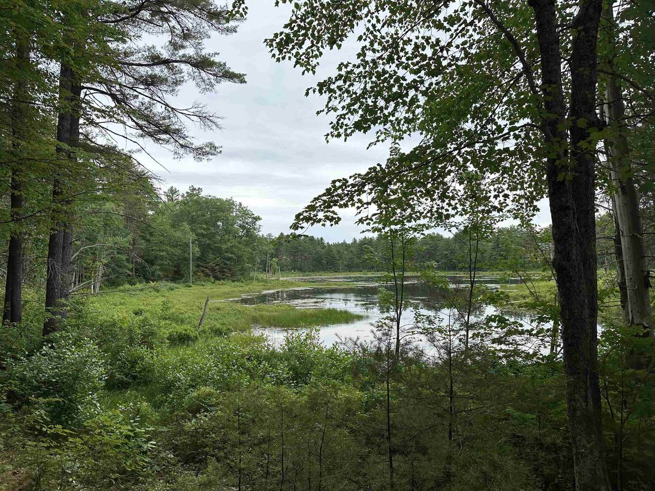 M 7 L 5-5 Blandings Lane - Photo 1