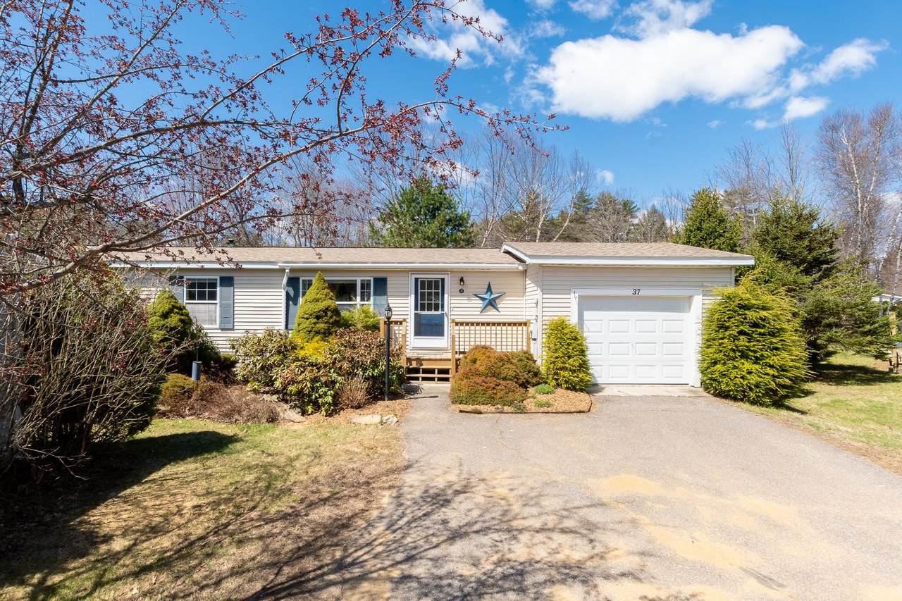 37 Magnolia Lane - Photo 1
