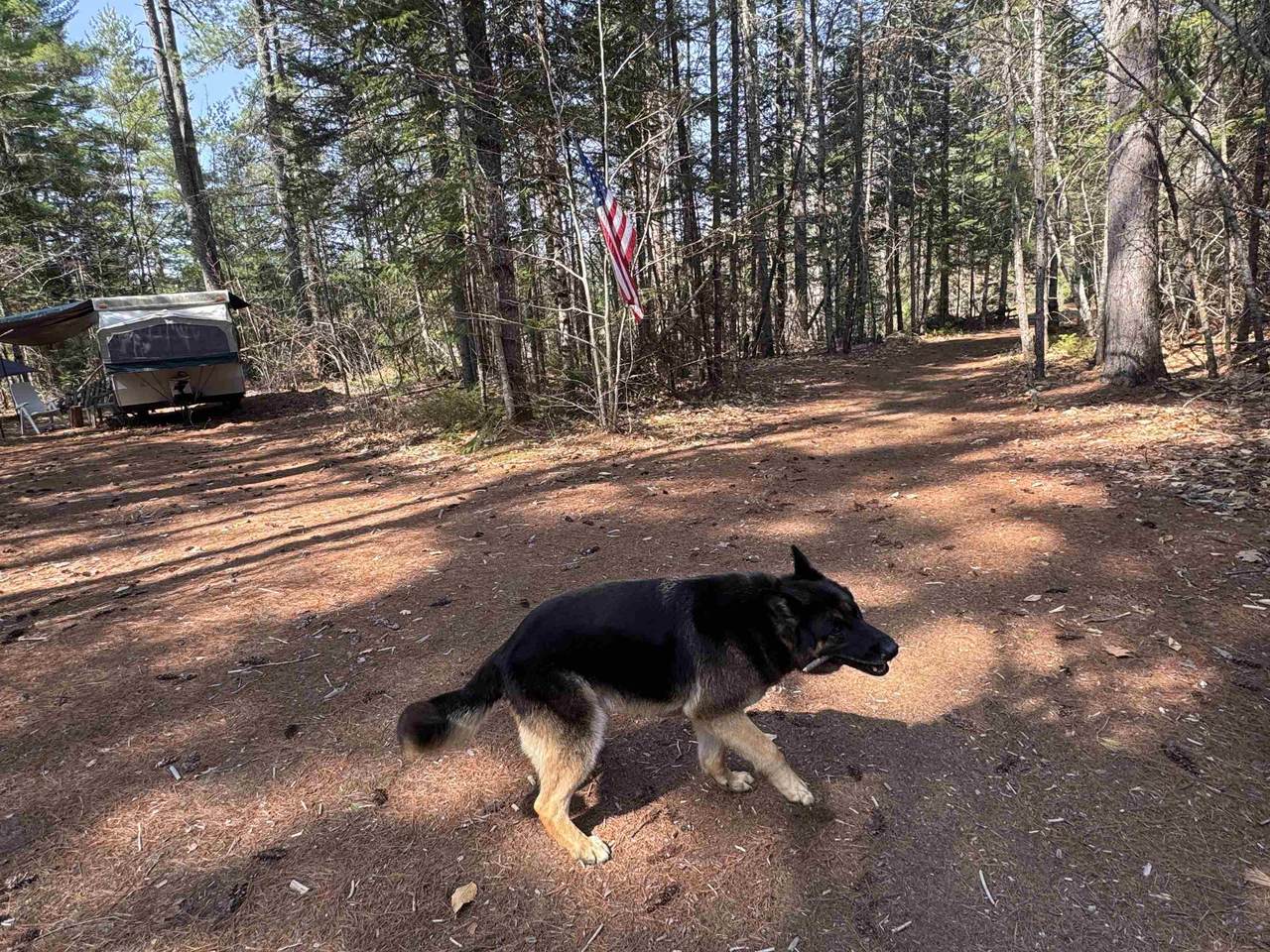 00 Province Lake Road - Photo 1