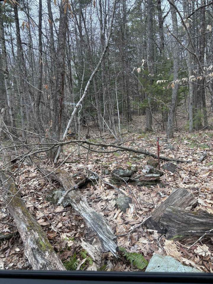 00 Coon Hill Road - Photo 1