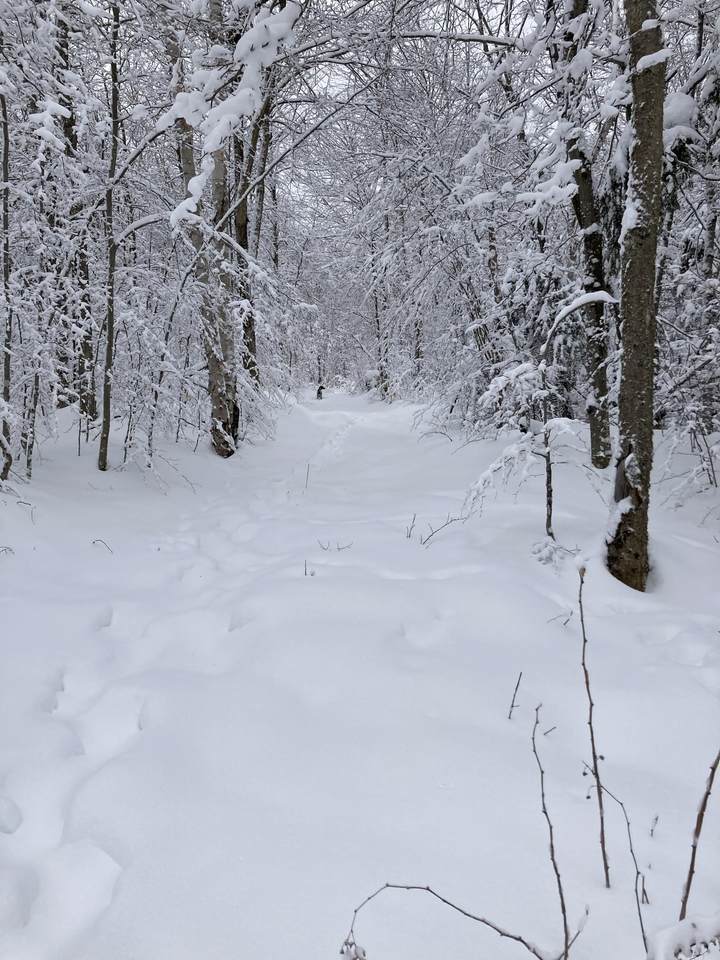 https://bt-photos.global.ssl.fastly.net/nneren/1280_boomver_1_5087884-2.jpg