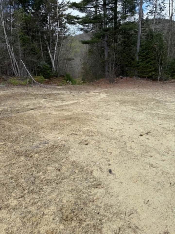 Lot 7 Bog Road - Photo 1