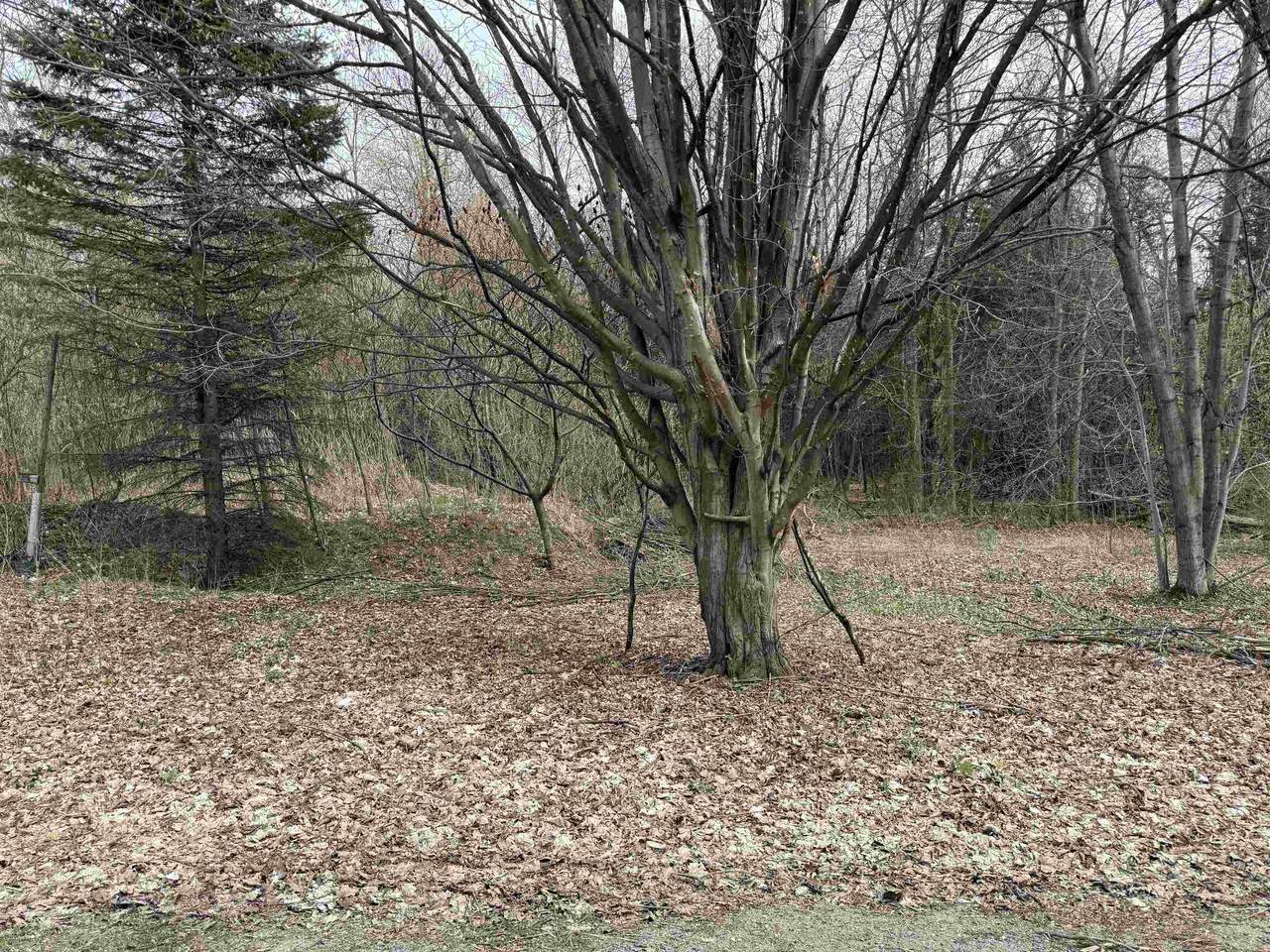 54 Adams School Road - Photo 1