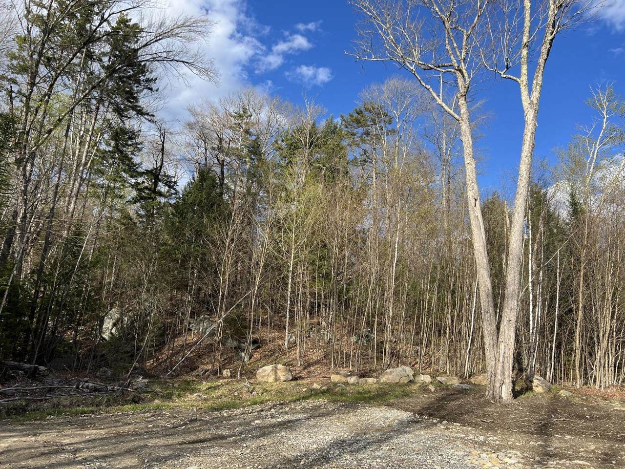 244 Rowentown Road - Photo 1