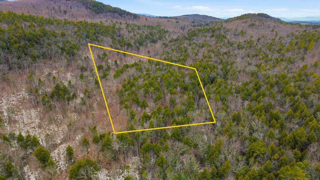 101-15 North Shore Road - Photo 1
