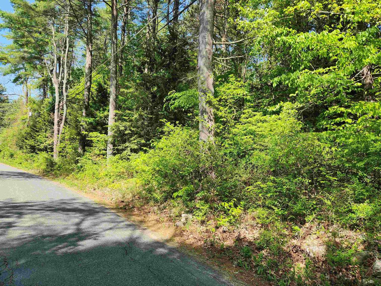 0 Cobble Hill Road - Photo 1