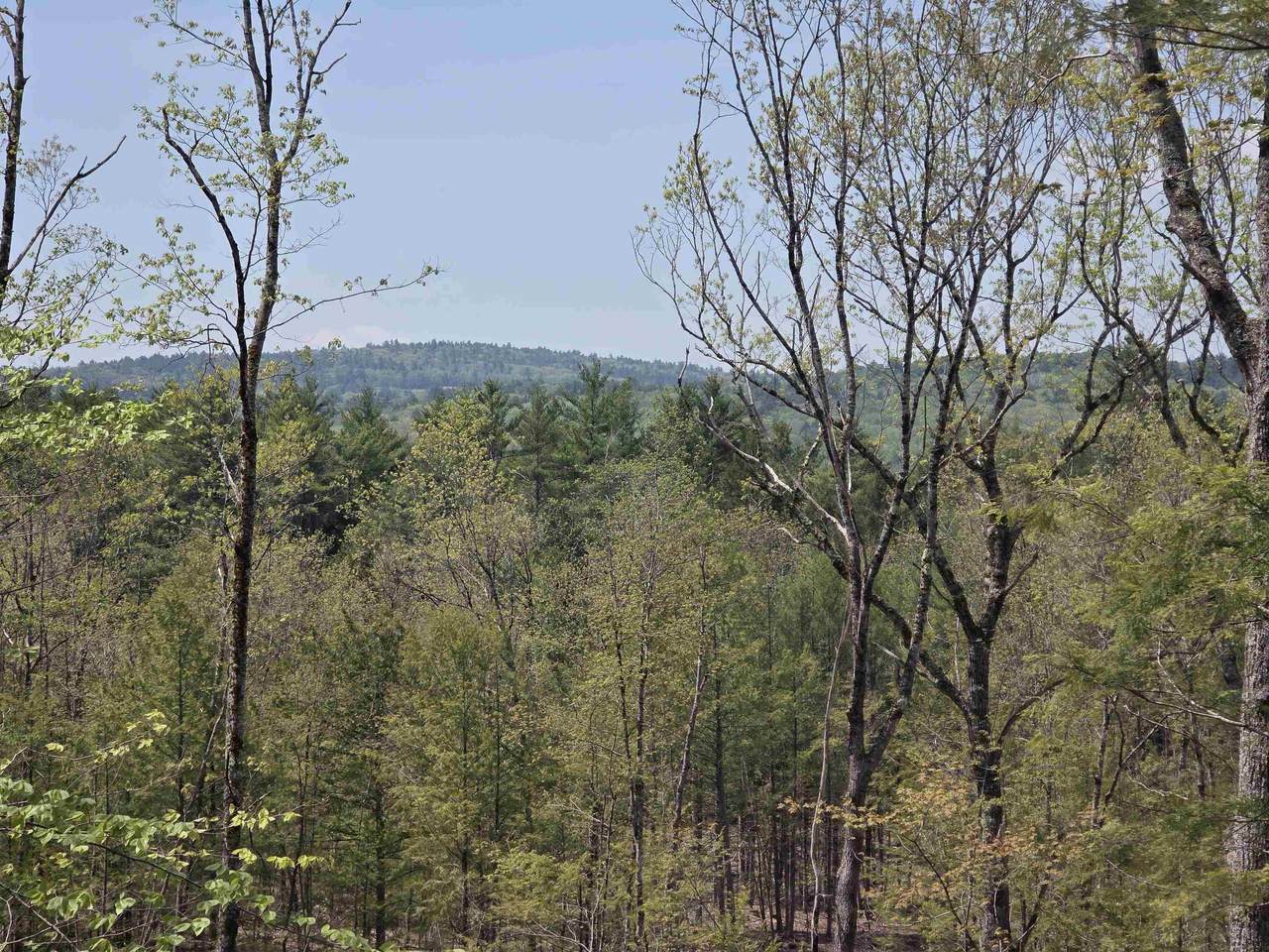  Map 417 Lot 51-1 Shannon Road - Photo 1