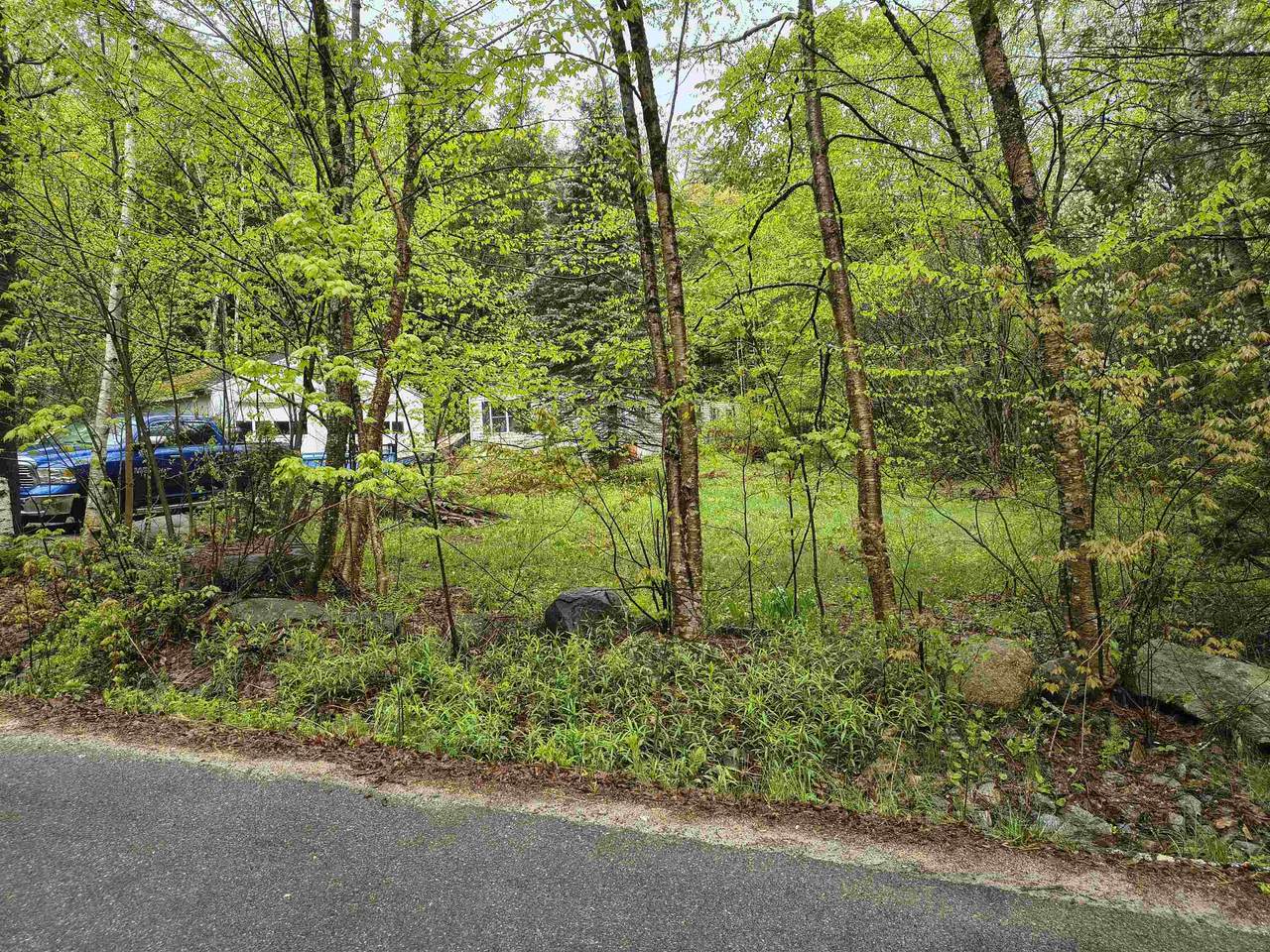 106 Waldron Hill Road - Photo 1