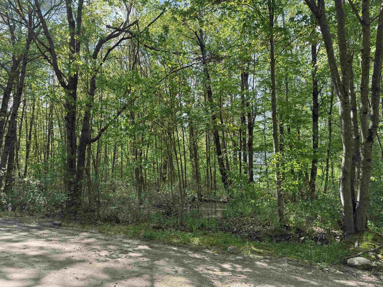  Moccasin Trail - Photo 1