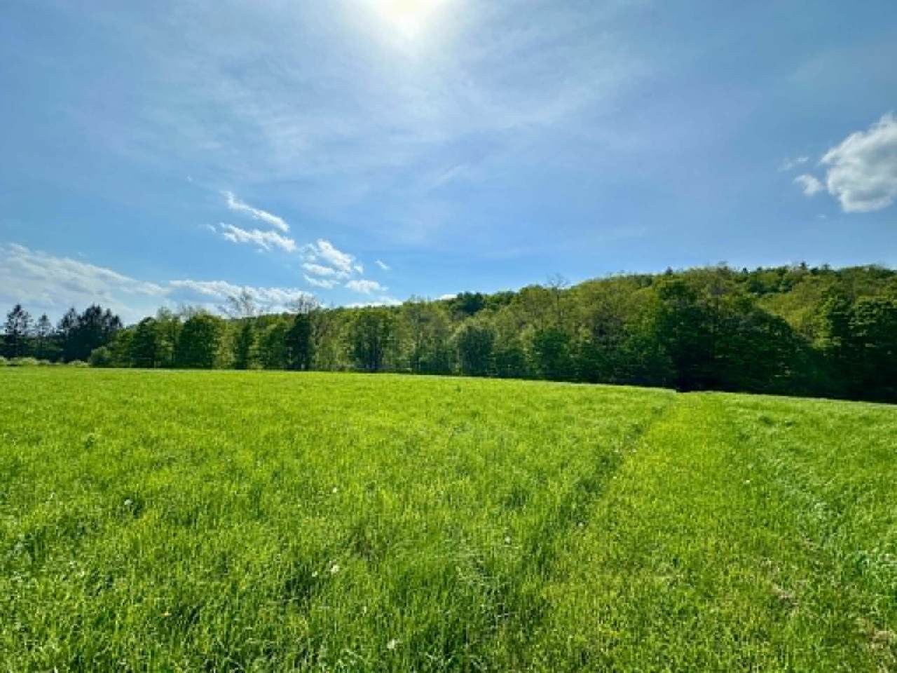 Lot A Sweet Pond Road - Photo 1